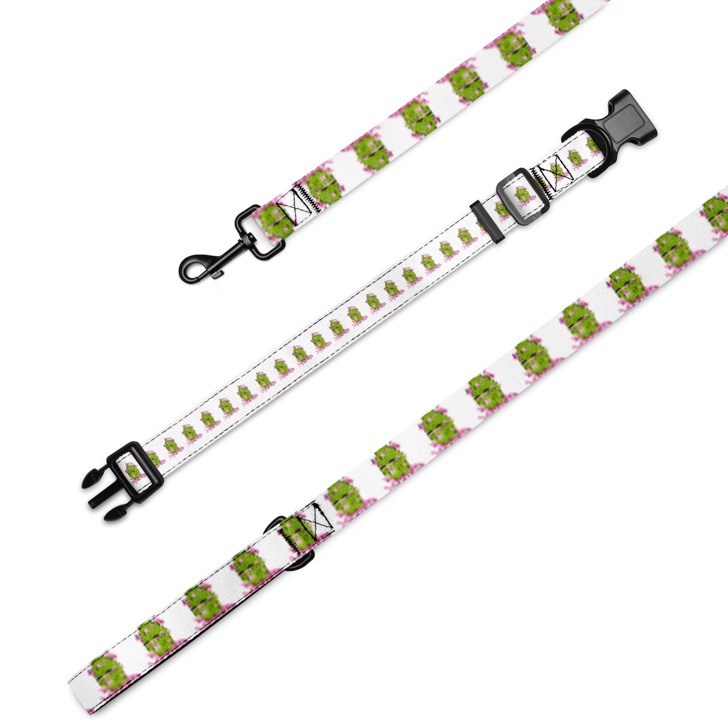 DH Pet collar & leash