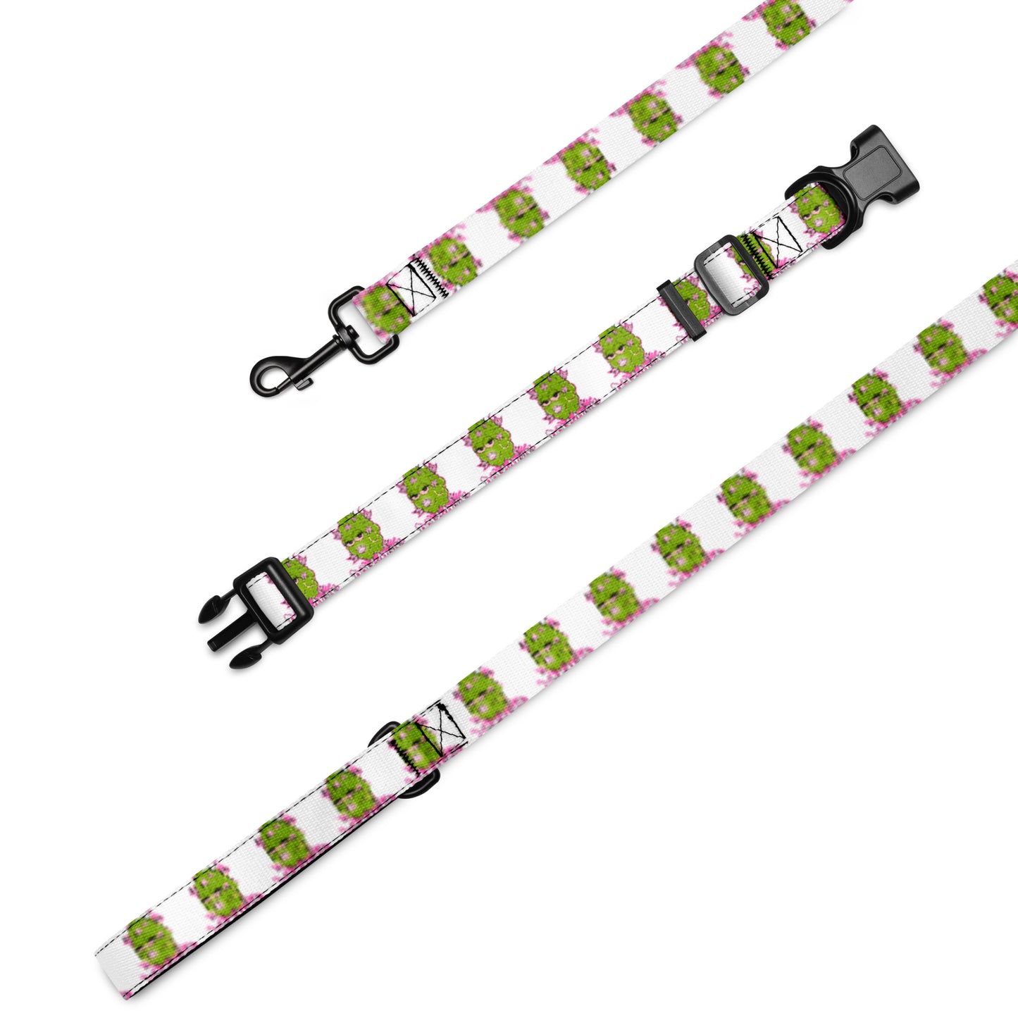 DH Pet collar & leash