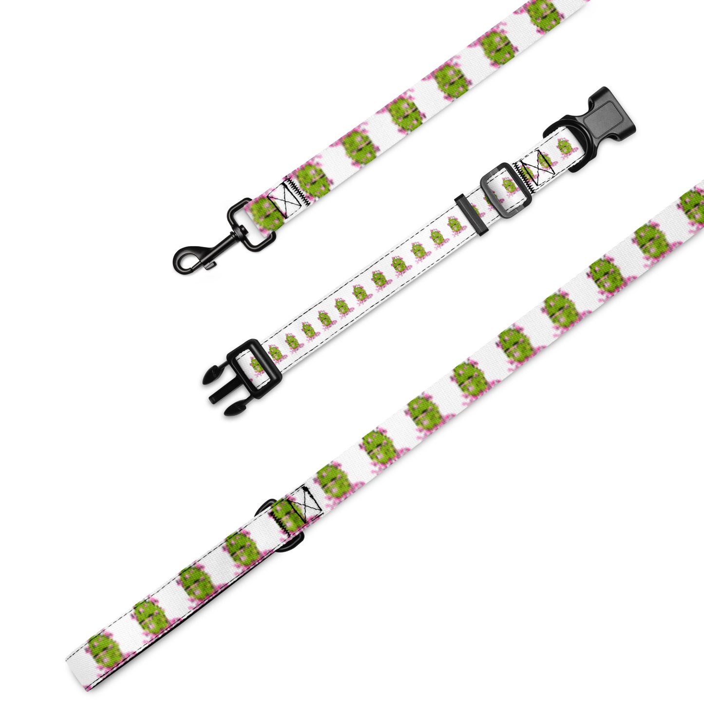 DH Pet collar & leash